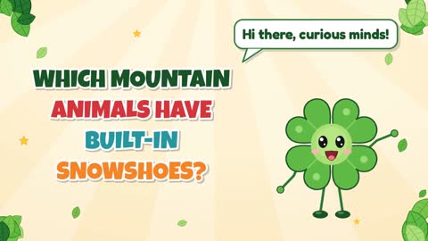 Which Mountain Animals Have Built-In Snowshoes?