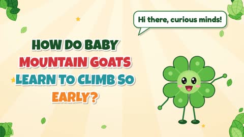 How Do Baby Mountain Goats Learn to Climb So Early?