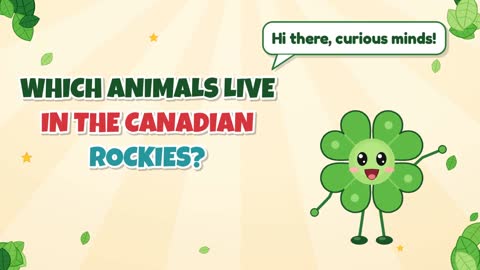 Which Animals Live in the Canadian Rockies?