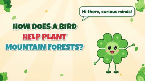How Does a Bird Help Plant Mountain Forests?