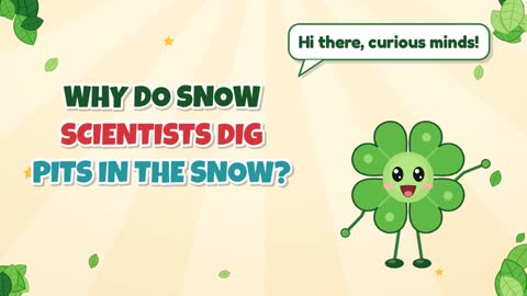 Why Do Snow Scientists Dig Pits in the Snow?