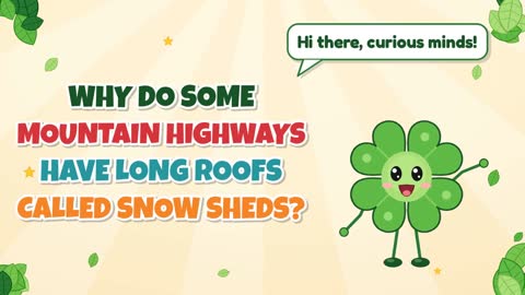 Why Do Some Mountain Highways Have Long Roofs Called Snow Sheds?