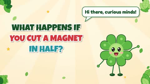 What Happens If You Cut a Magnet in Half?