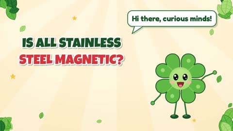 Is All Stainless Steel Magnetic?