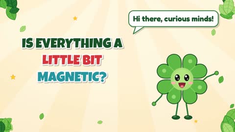 Is Everything a Little Bit Magnetic?