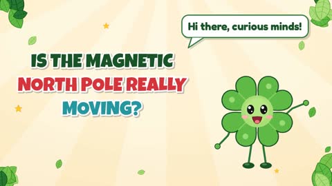 Is the Magnetic North Pole Really Moving?