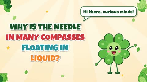 Why Is the Needle in Many Compasses Floating in Liquid?