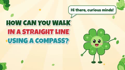 How Can You Walk in a Straight Line Using a Compass?