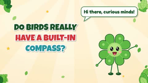 Do Birds Really Have a Built-In Compass?
