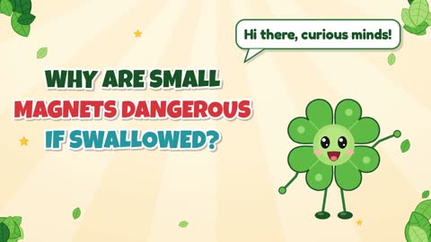 Why Are Small Magnets Dangerous If Swallowed?