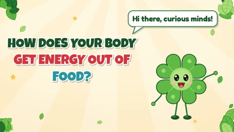 How Does Your Body Get Energy Out of Food?