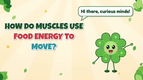How Do Muscles Use Food Energy to Move?