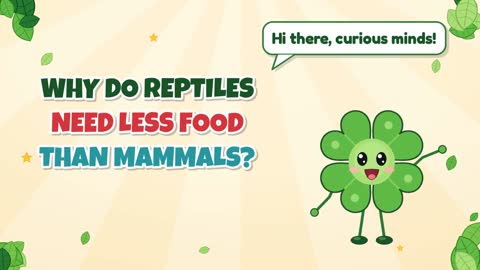 Why Do Reptiles Need Less Food than Mammals?