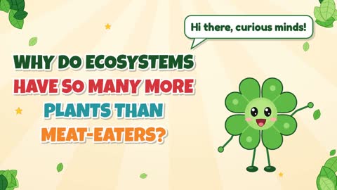 Why Do Ecosystems Have So Many More Plants than Meat-Eaters?