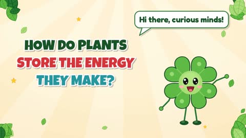 How Do Plants Store the Energy They Make?
