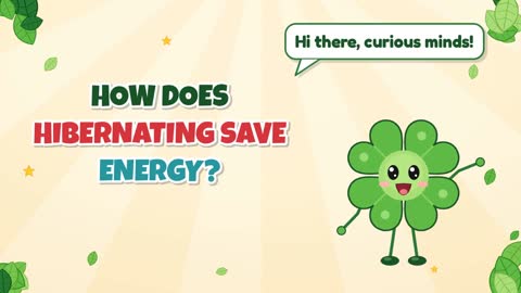 How Does Hibernating Save Energy?