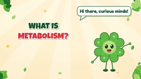 What Is Metabolism?