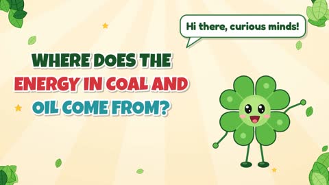 Where Does the Energy in Coal and Oil Come From?
