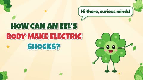 How Can an Eel’s Body Make Electric Shocks?