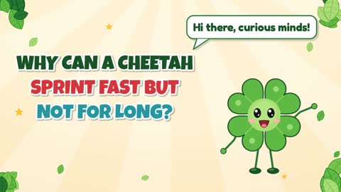 Why Can a Cheetah Sprint Fast but Not for Long?