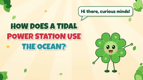 How Does a Tidal Power Station Use the Ocean?