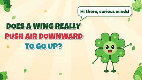 Does a Wing Really Push Air Downward to Go Up?