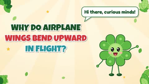 Why Do Airplane Wings Bend Upward in Flight?