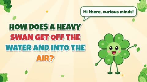 How Does a Heavy Swan Get Off the Water and Into the Air?