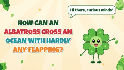 How Can an Albatross Cross an Ocean with Hardly Any Flapping?