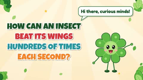 How Can an Insect Beat Its Wings Hundreds of Times Each Second?