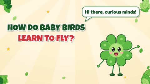 How Do Baby Birds Learn to Fly?
