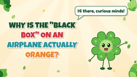 Why Is the "Black Box" on an Airplane Actually Orange?