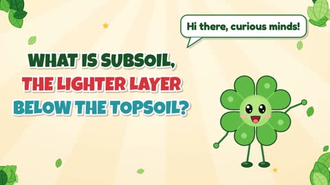 What is subsoil, the lighter layer below the topsoil?