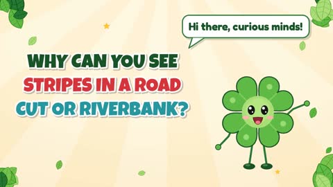 Why can you see stripes in a road cut or riverbank?