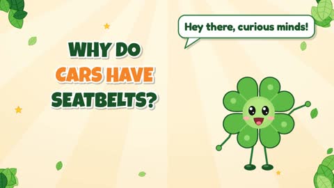 Why Do Cars Have Seatbelts?