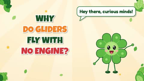 Why Do Gliders Fly with No Engine?