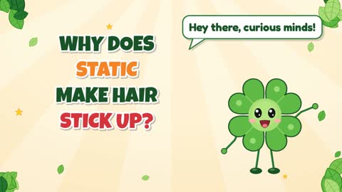 Why Does Static Make Hair Stick Up?