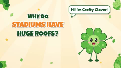 Why Do Stadiums Have Huge Roofs?