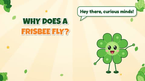 Why Does a Frisbee Fly?