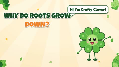 Why Do Roots Grow Down?