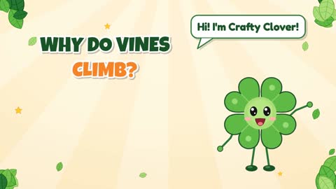 Why Do Vines Climb?