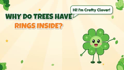 Why Do Trees Have Rings Inside?