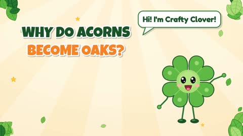 Why Do Acorns Become Oaks?