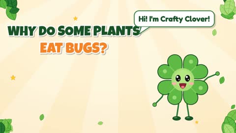 Why Do Some Plants Eat Bugs?