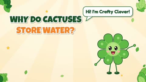 Why Do Cactuses Store Water?