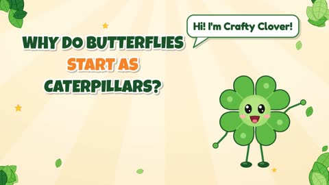 Why Do Butterflies Start as Caterpillars?