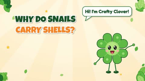 Why Do Snails Carry Shells?