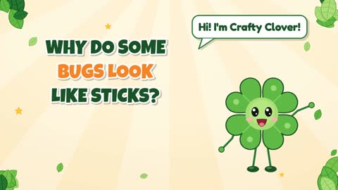 Why Do Some Bugs Look Like Sticks?