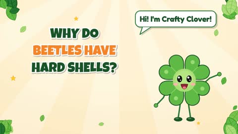 Why Do Beetles Have Hard Shells?