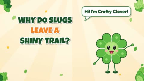Why Do Slugs Leave a Shiny Trail?